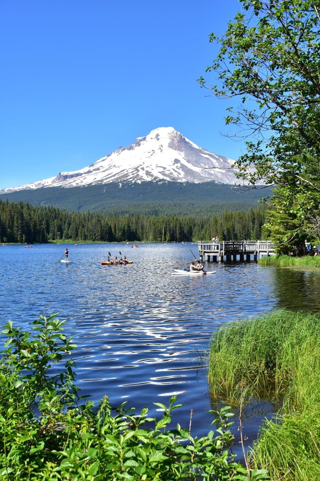 Mount Hood above an Oregon lake